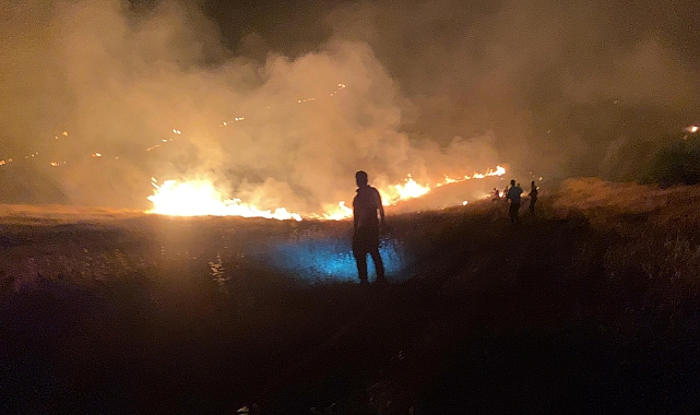 Şanlıurfa'da gece saatlerinde orman yangını!