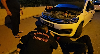 Şanlıurfa'da kedi operasyonu!