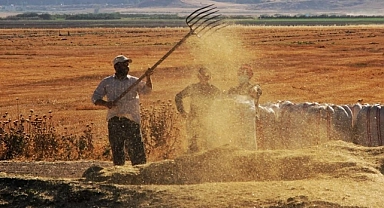 Tarım ürünleri üretici fiyat endeksi artı