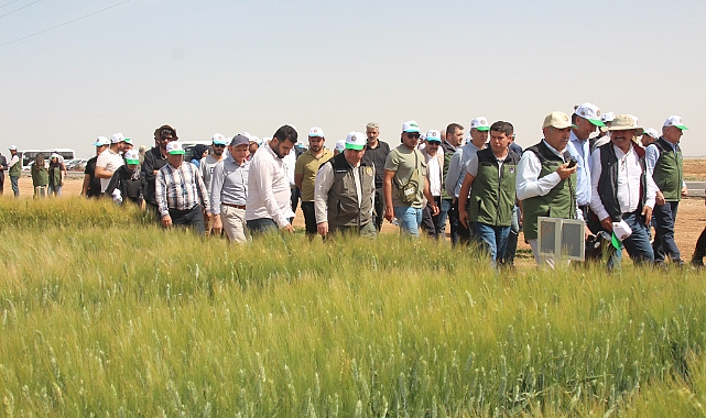 TİGEM'den bölge çiftçisini umutlandıran proje