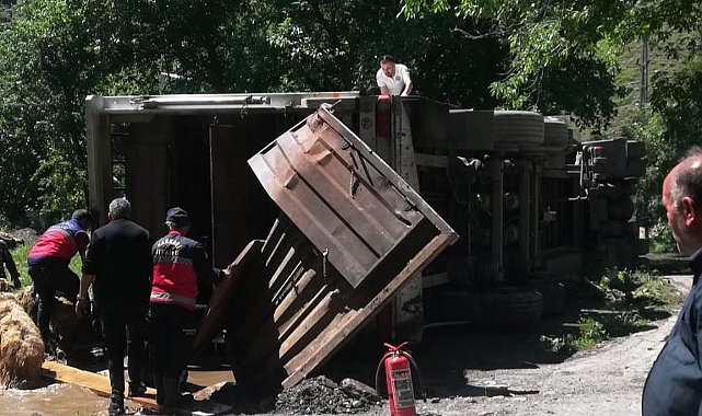 Tır devrildi,300 koyun etrafa saçıldı