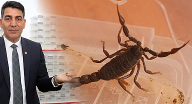 Urfalı akrep üreticisi Yılmaz'dan ABD’li profesöre tepki