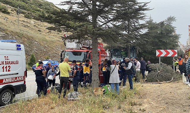 Yolcu otobüsü ağaca çarptı: İlk belirlemelere göre 11 yaralı var