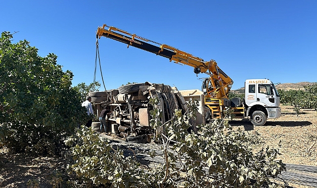 Birecik'te fıstık bahçesine demir yüklü kamyon devrildi! Yaralı var