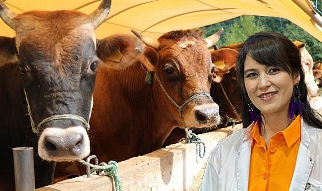 Diyet Uzmanından bayram uyarısı: “Kurban eti kesilir kesilmez tüketilmemeli”