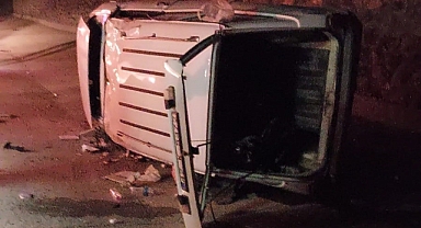 Kara yoluna çıkan domuz kazaya sebep oldu: 1 yaralı