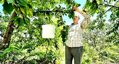 Malatya'da günlük 2 bin TL'ye işçi bulunamıyor