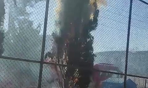 Okul bahçesinde ağaçlar cayır cayır yandı