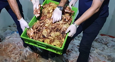 Şanlıurfa'da 10 ton bozuk tavuk eti ele geçirildi