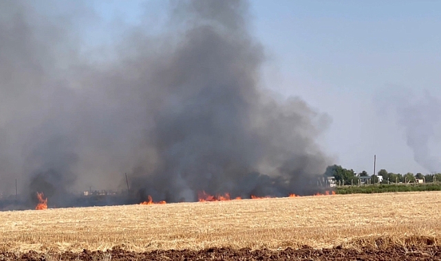 Şanlıurfa'da anız yakmanın zararları anlatıldı