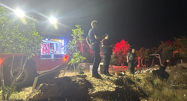 Şanlıurfa'da orman yangını!