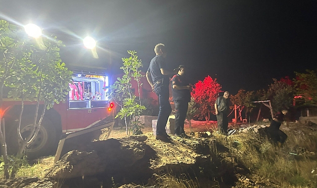 Şanlıurfa'da orman yangını!