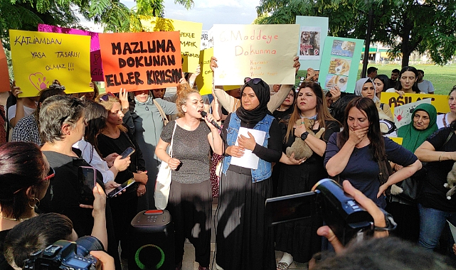 Şanlıurfa'da toplanan hayvanseverler görüntülere tepki yağdırdı