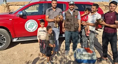 Şanlıurfa'daki sıcak havalardan Kızıl Şahinlerde nasibini aldı