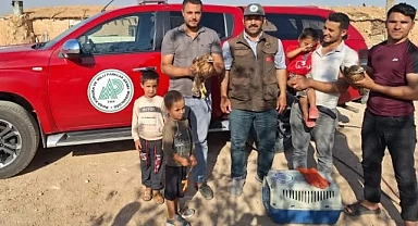 Şanlıurfa'daki sıcak havalardan Kızıl Şahinlerde nasibini aldı