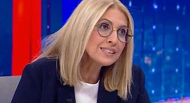 Şanlıurfa’dan hasta köpekleri Ankara'ya götüren kadına tutuklama talebi