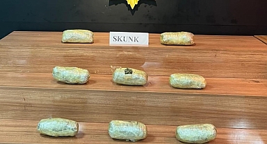 Şanlıurfa'nın iki ilçesinde uyuşturucu operasyonu! 12 tutuklama