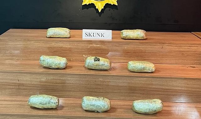 Şanlıurfa'nın iki ilçesinde uyuşturucu operasyonu! 12 tutuklama