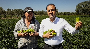 Urfa isotunun rakibi Arslanlar biberi oldu