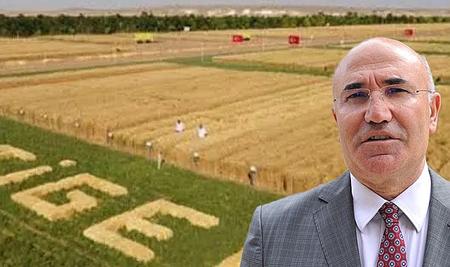 Vekil Tanal duyurdu!  Ceylanpınar'da 350 işçi zehirlendi