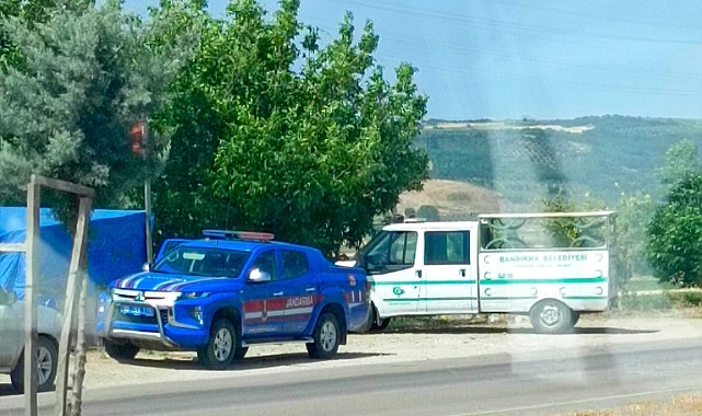 Yol kenarında erkek cesedi bulundu