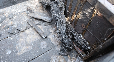 Adana'da orman yangınında 15 kovan arı telef oldu