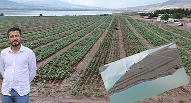 Anadolu'nun en büyük adasını Urfalı satın aldı! Tarlaya 10 bin kayısı ağacı ekti