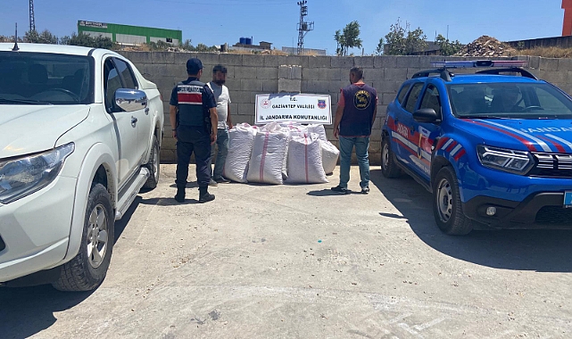Babasının tarlasından 1,5 ton Antep fıstığı çaldı