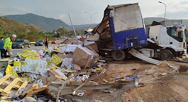 Bilecik'te karton ambalaj yüklü tır devrildi: 1 kişi yaralandı