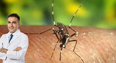 Böcek, sinek ısırığı deyip geçmeyin! Uzmanı uyardı