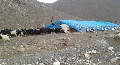 Çobanlar arasında kavga: 1 ölü, 3 yaralı