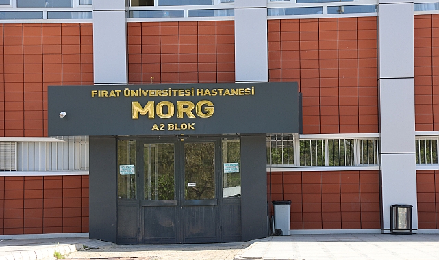 Elazığ’da araç şarampole yuvarlandı: 1 ölü