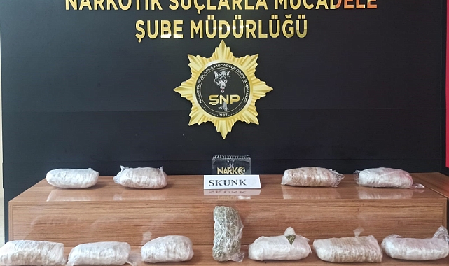 Şanlıurfa'da durdurulan araçta 6 kilo skunk ele geçirildi