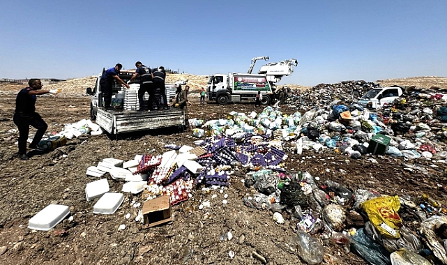 Şanlıurfa'da 8 ton bozuk peynir ve yumurta ele geçirildi!