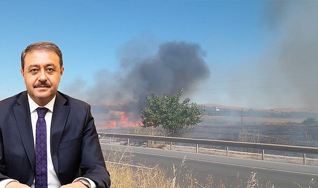Şanlıurfa'da anız yakan 206 kişiye tam 14 milyon TL ceza!