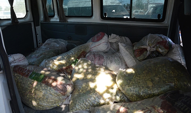 Şanlıurfa'da durdurulan araçta 1,5 ton çalıntı Antep fıstığı çıktı