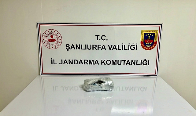 Şanlıurfa'da narkotik jandarma köpeği uyuşturucuya geçit vermedi