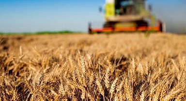 Tarım-GFE yıllık yüzde 53,08 arttı