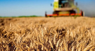 Tarım-GFE yıllık yüzde 53,08 arttı
