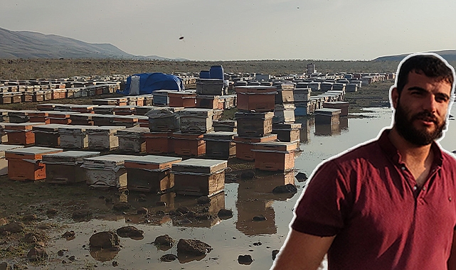 Urfalı arıcının kovanları sular altında kaldı