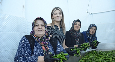 Urfalı kadınlar Ankara'da Çubuk turşusu mesaisinde