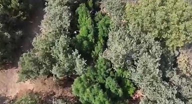 Uyuşturucu operasyonları: 4 tutuklama