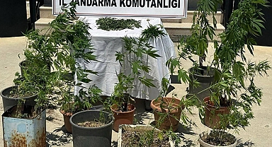 Uyuşturucu operasyonu: 2 kişi yakalandı