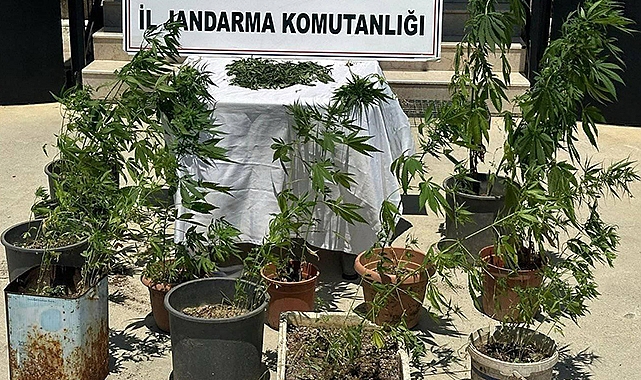 Uyuşturucu operasyonu: 2 kişi yakalandı