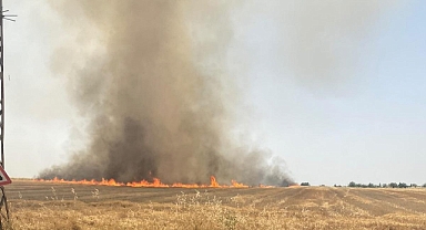 Yerleşim alanına yakın çıkan yangın söndürüldü