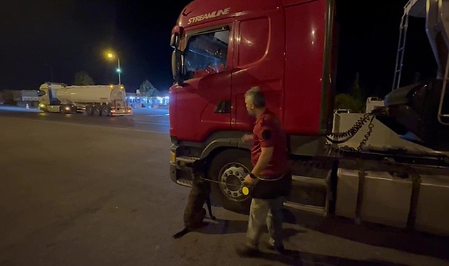 ‘Barbara’ 46 kilogram esrarı buldu