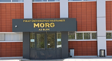 Devrilen traktörün altında kalarak hayatını kaybetti