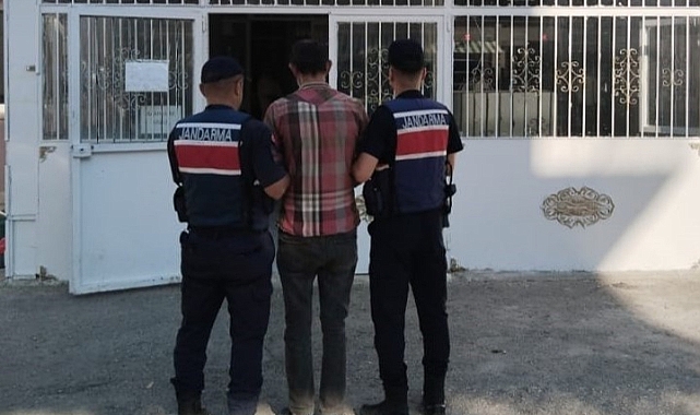 Fıstık hırsızlığına jandarmadan suçüstü: 3 tutuklama