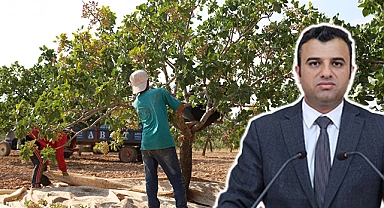Fıstık Üreticilerinin Sorunlarını Urfa Vekili Öcalan, Meclis'e Taşıdı