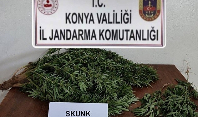 Konya’da jandarmadan uyuşturucu operasyonu: 3 gözaltı